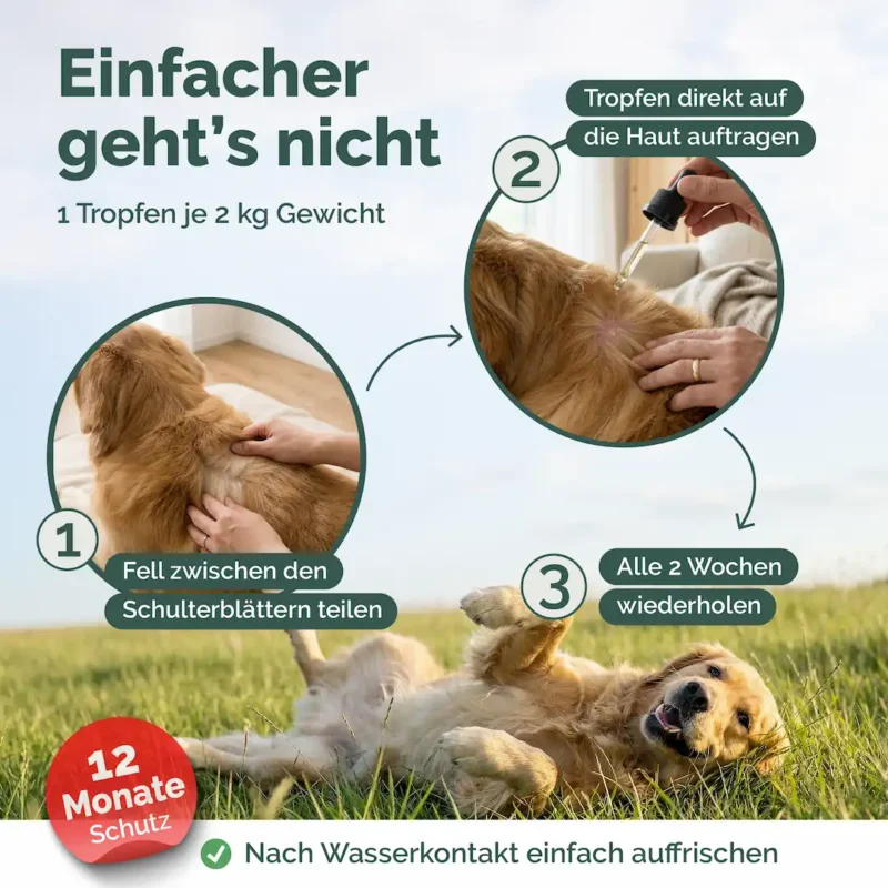 Zeckenschutz fuÌr Hunde2 white-04