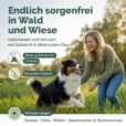 Zeckenschutz für Hunde2 white_Zeichenfläche 1 Kopie 3