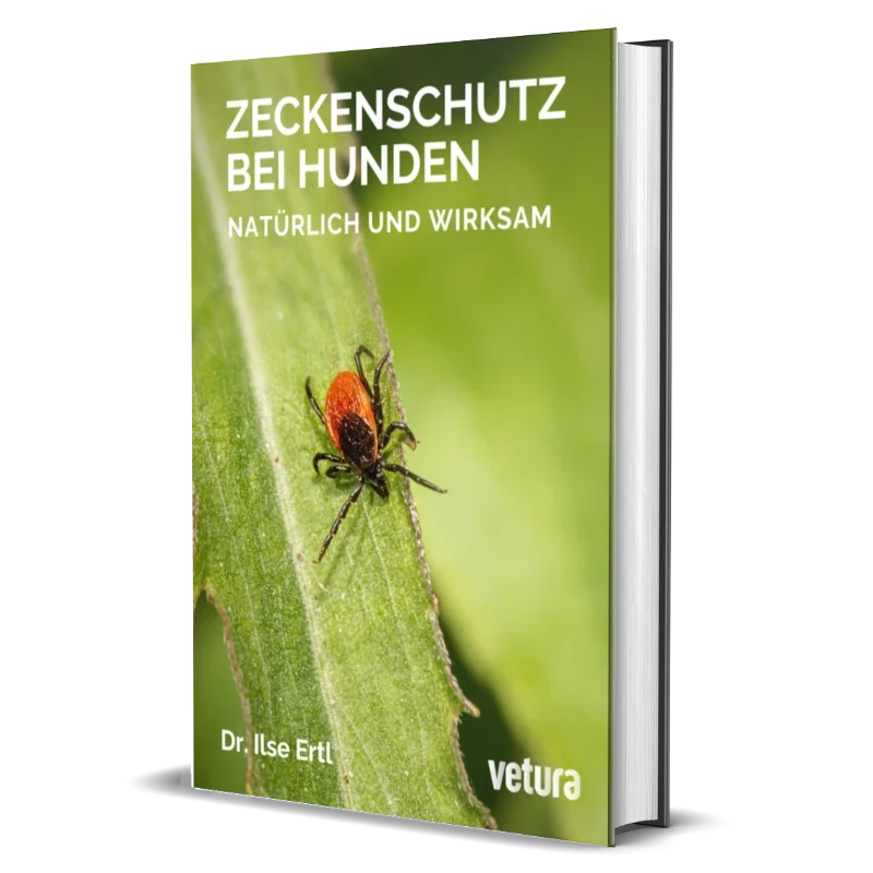 zeckenschutz bei hunden