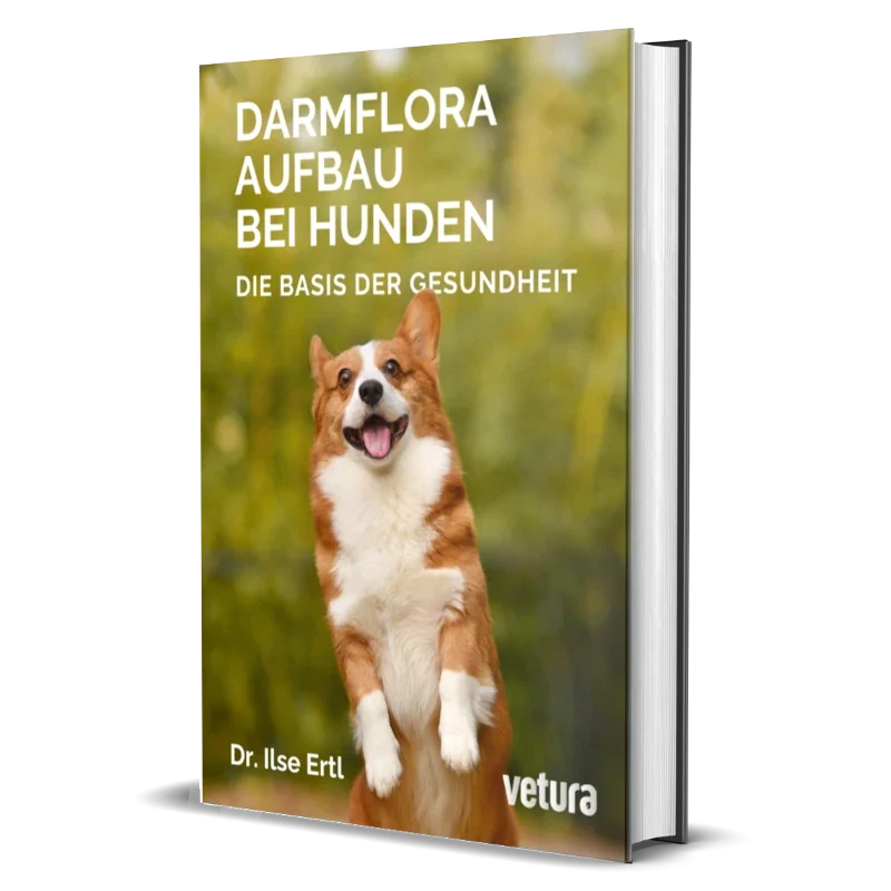 darmflora aufbau bei hunden2