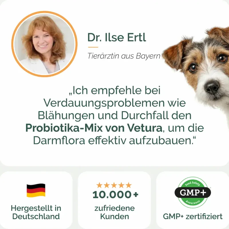 Hunde_Probiotika-Listing blaÌhungen