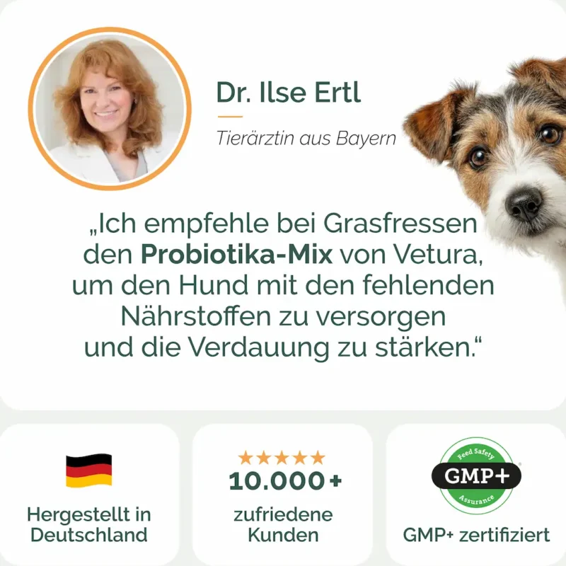 Hunde_Probiotika-Listing gras