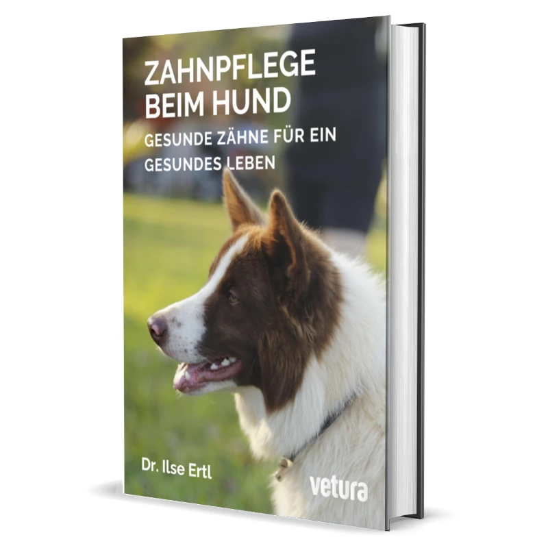 eBook "Zahnpflege beim Hund" von Dr. Ilse Ertl