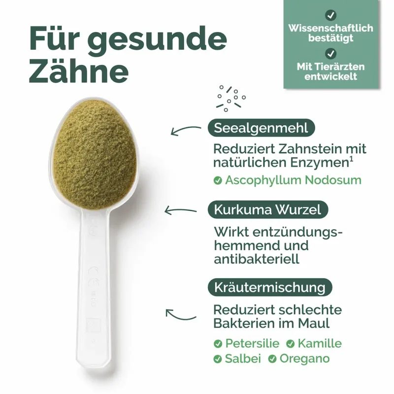 Hunde-Zahn-Listing-01