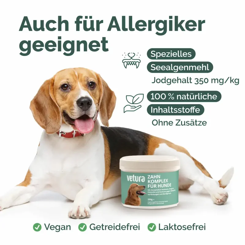 Hunde-Zahn-Listing-02