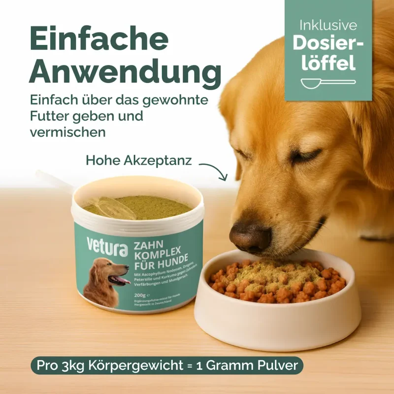 Hunde-Zahn-Listing-03