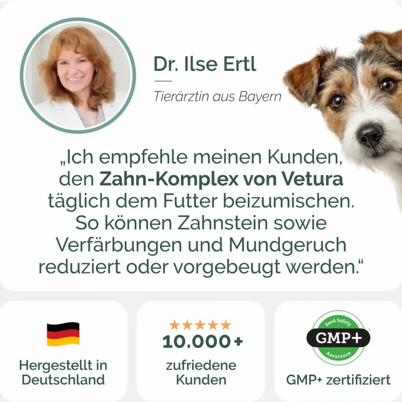 Hunde-Zahn-Listing-05