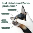 Hunde-Zahn-Listing_Zeichenfläche 1 Kopie 3