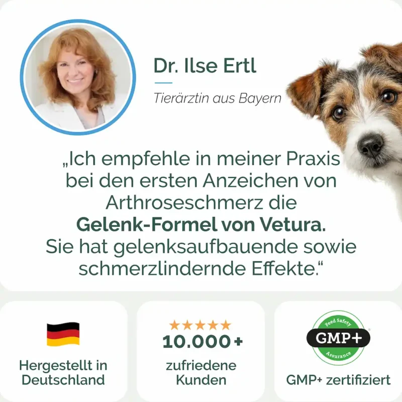 Hunde-gelenk-Listing-05