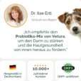 Hunde_Probiotika-Listing haut