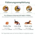 fütterungsempfehlung beruhigung