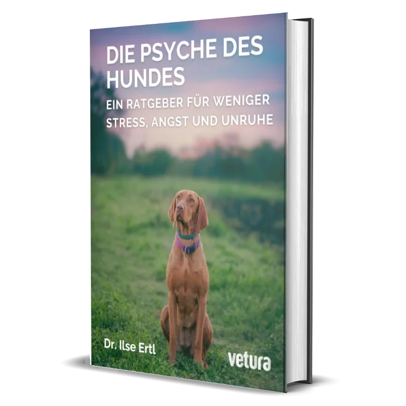 die psyche des hundes