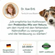 Hunde_Probiotika-kot-05