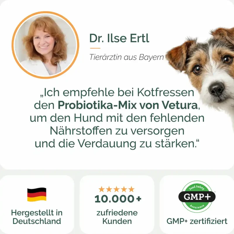 Hunde_Probiotika-kot-05