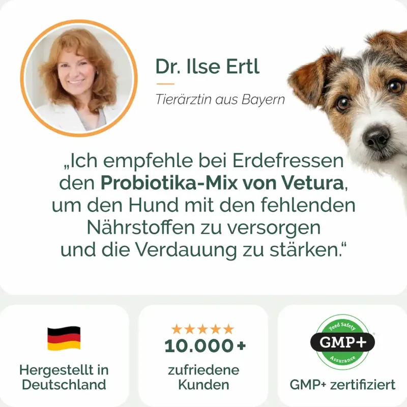 Hunde_Probiotika-kot-05 (1)