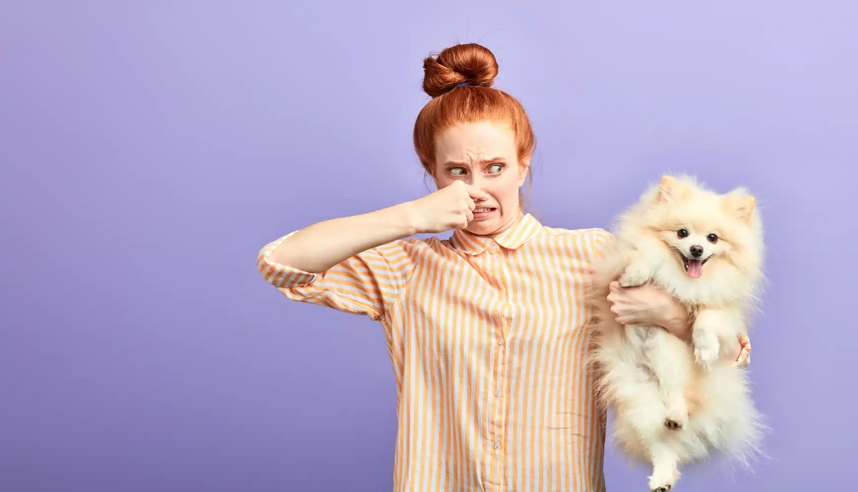 Hund hat Blähungen: 6 Hausmittel & Tipps vom Tierarzt