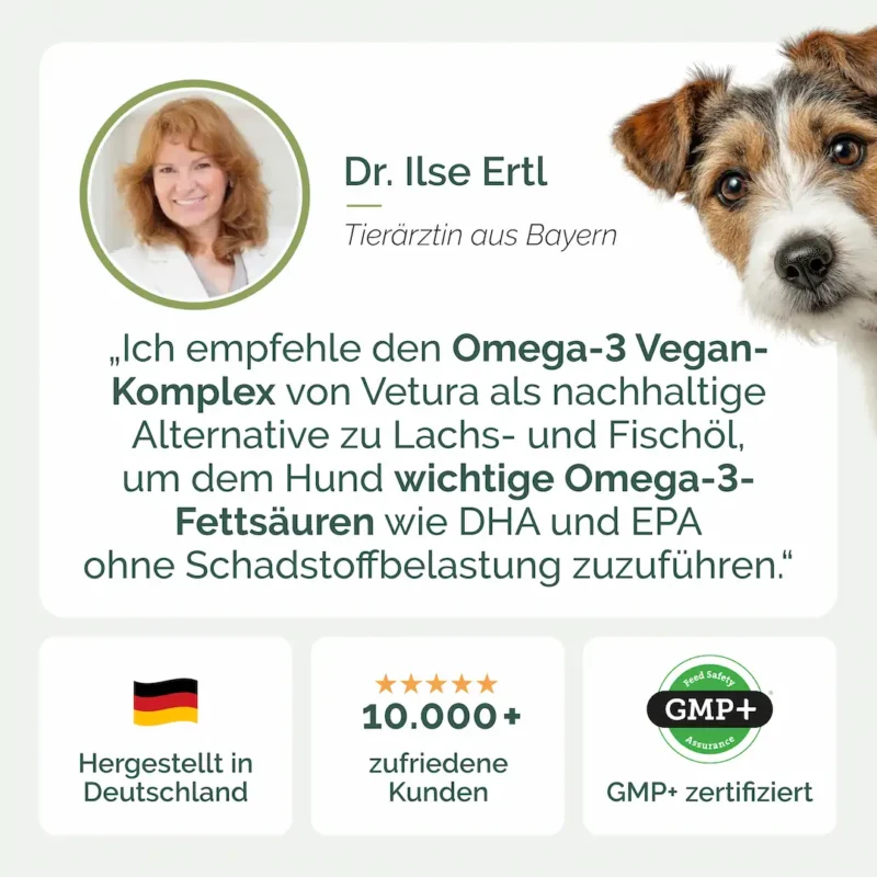 Vetura_Omega3-05 Kopie