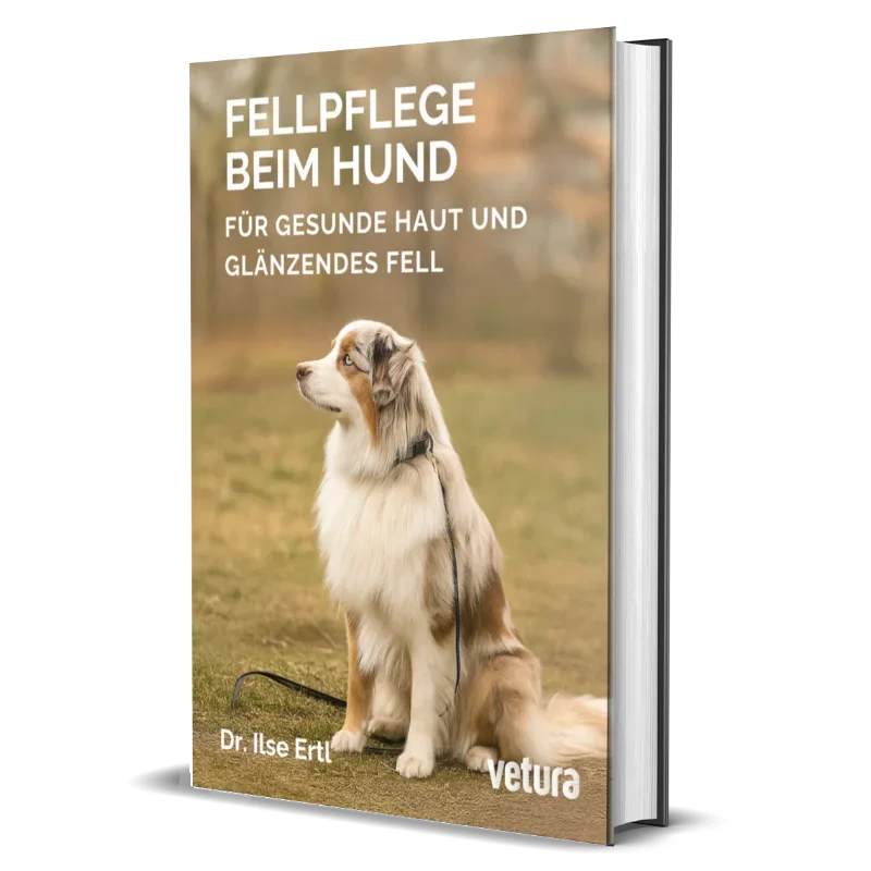 fellpflege ebook