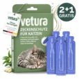 titelbild zeckenschutz katze