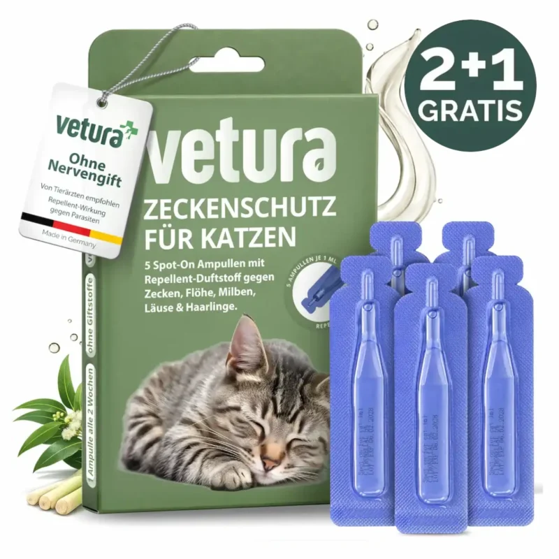 titelbild zeckenschutz katze titelbild zeckenschutz katze