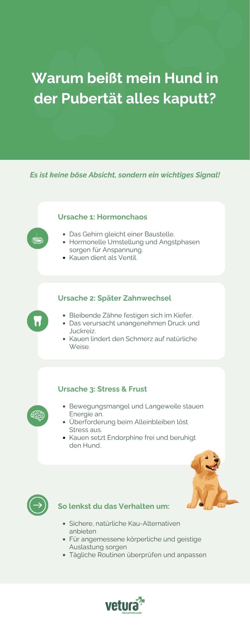 ekoi beheizbare handschuhe Beheizbare, Akku-betriebene, elastische Handschuhe, eGO Elektromobile main image 0