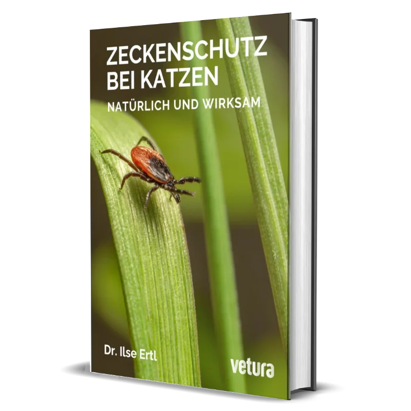 zeckenschutz-ebook-katze