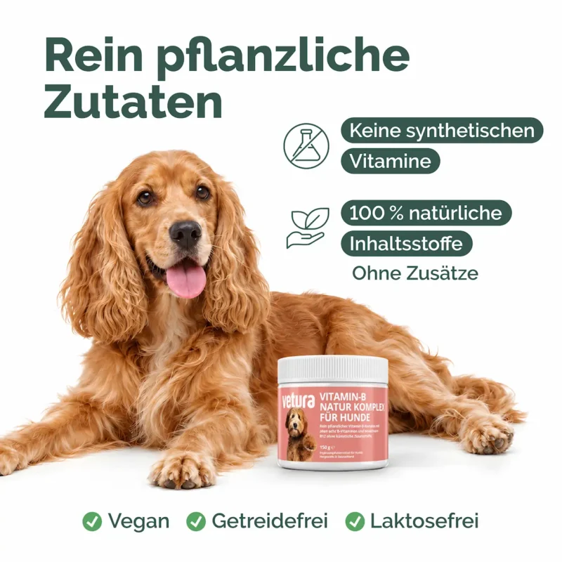 Hunde_Vitamin-B-Listing Kopie-02 Hunde_Vitamin-B-Listing Kopie-02