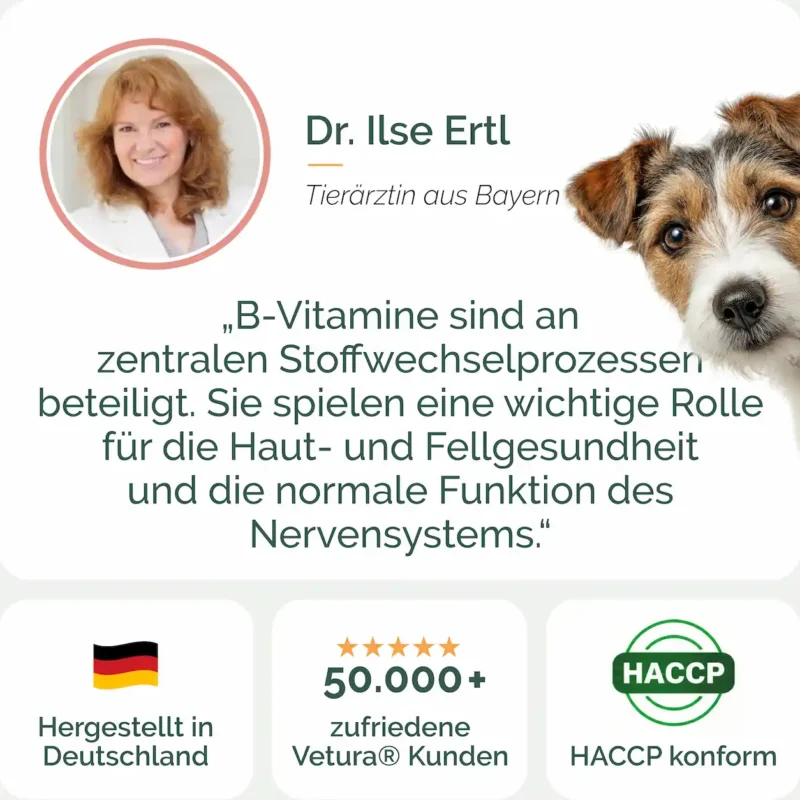 Hunde_Vitamin-B-Listing Kopie-05 Hunde_Vitamin-B-Listing Kopie-05