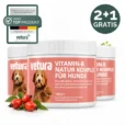 vitamin b titelbild