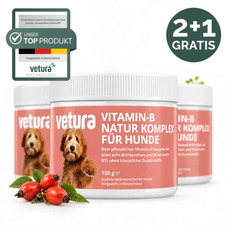 vitamin b titelbild vitamin b titelbild